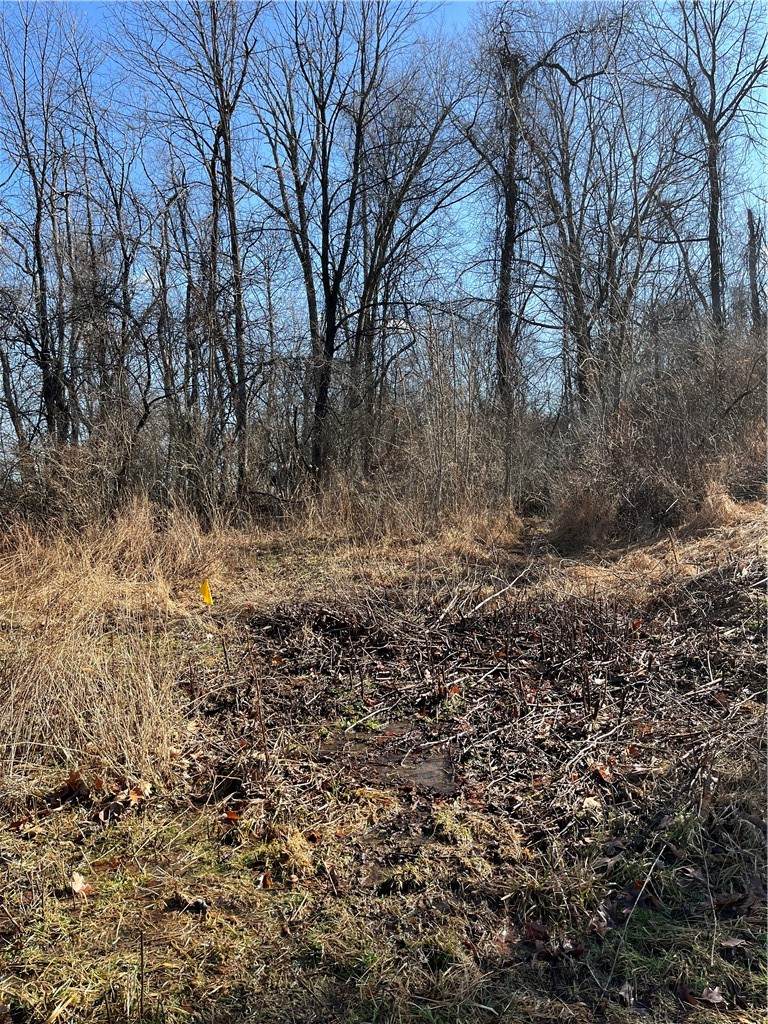 0 Carterway Lane - Photo 1