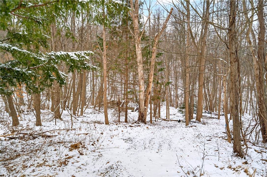 217 Klein Rd - Photo 1