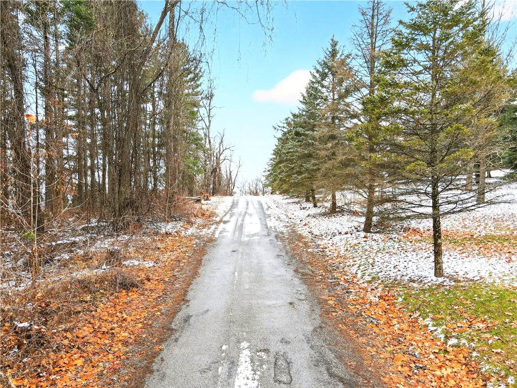 Lot#7 Hemlock Way - Photo 1