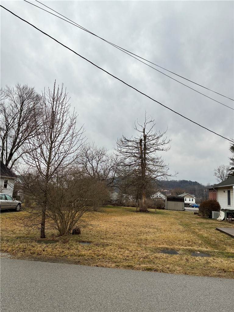 Lot #55 Carson St - Photo 1
