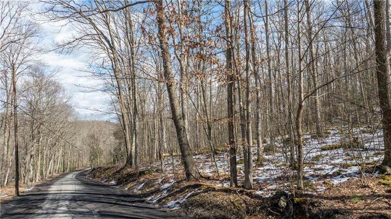 702 Shepherd Rd - Photo 1