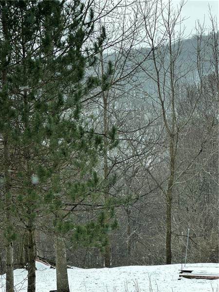 https://bt-photos.global.ssl.fastly.net/pittsburgh/orig_boomver_1_1742712-2.jpg