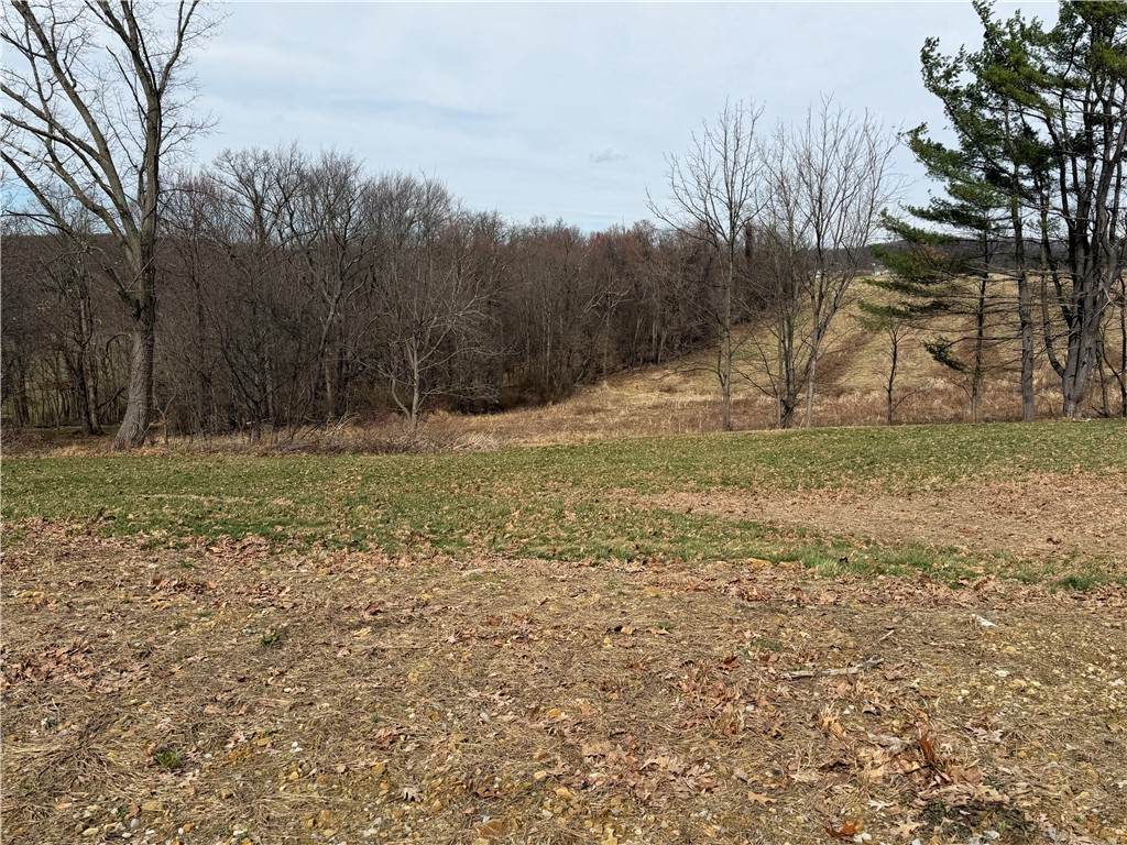 410 Elderberry Lane - Photo 1