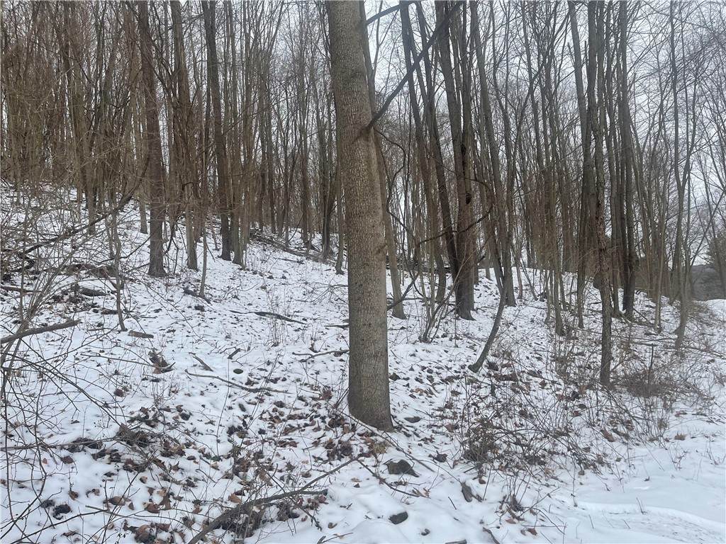 130 Wood - Photo 1