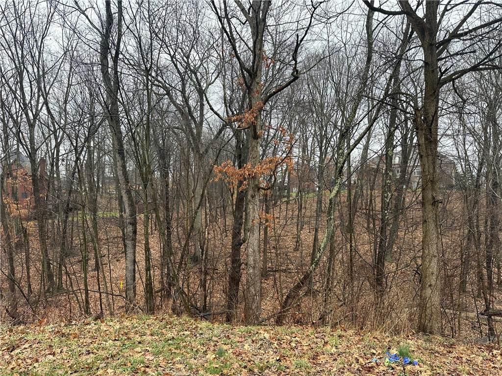 Lot #1 Woodhaven Drive - Photo 1