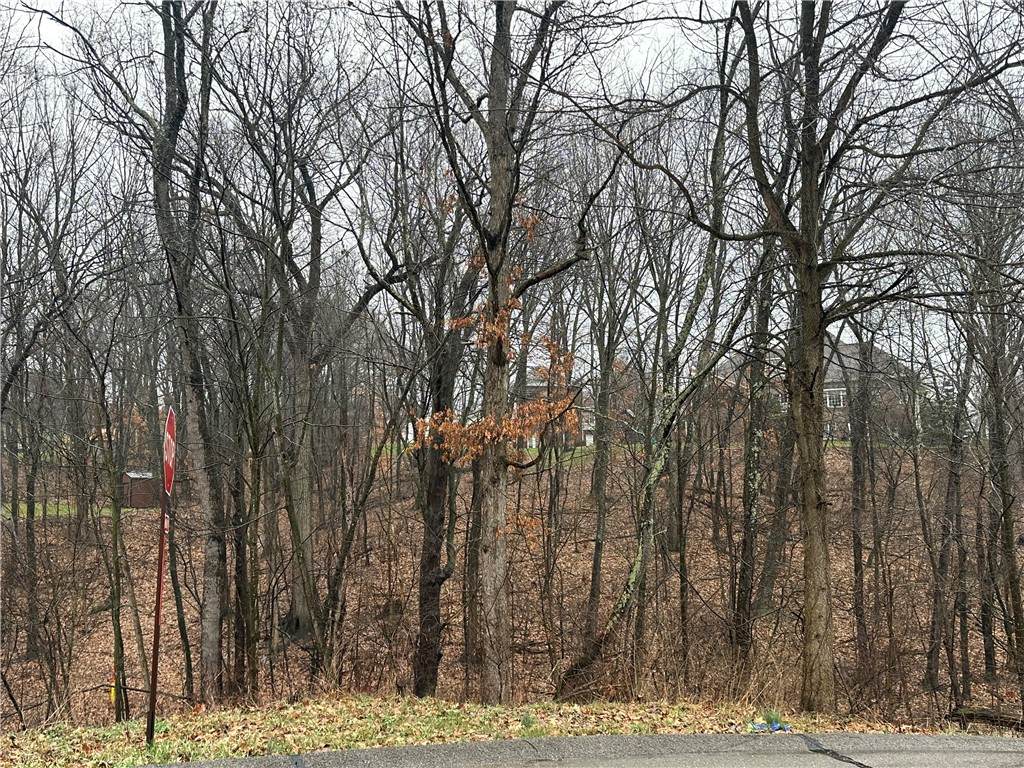 https://bt-photos.global.ssl.fastly.net/pittsburgh/orig_boomver_1_1743548-2.jpg