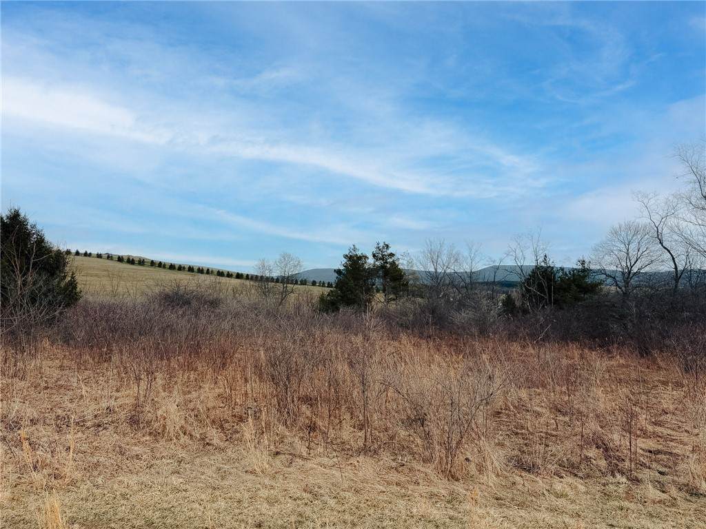 0 County Line Rd - Photo 1