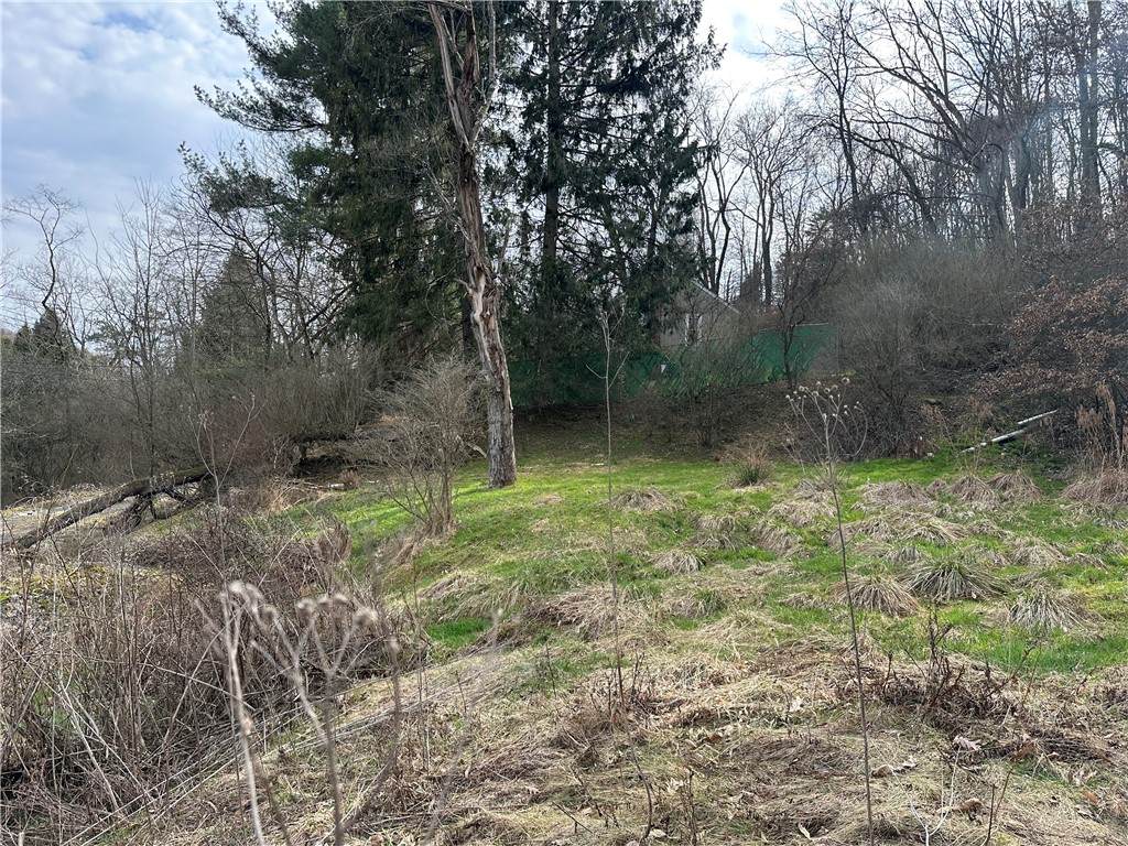 116 Seipe Lane - Photo 1