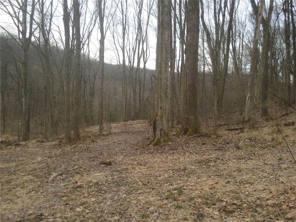 0 Mcdevitt - Photo 1