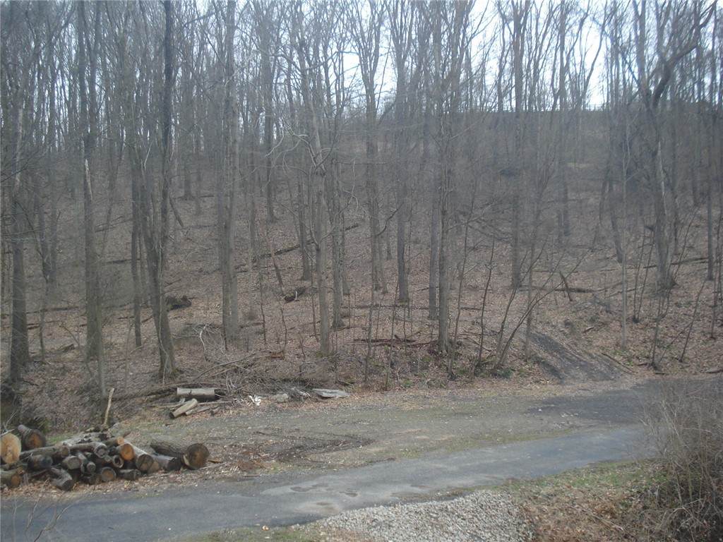 0 Mcdevitt - Photo 1