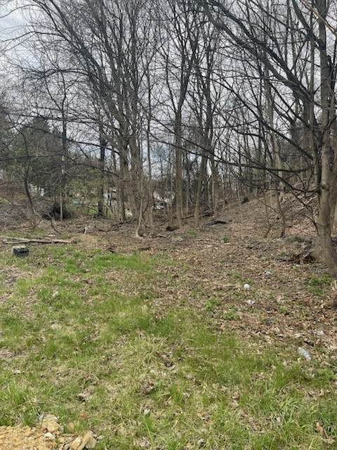 0 Spring St - Photo 1