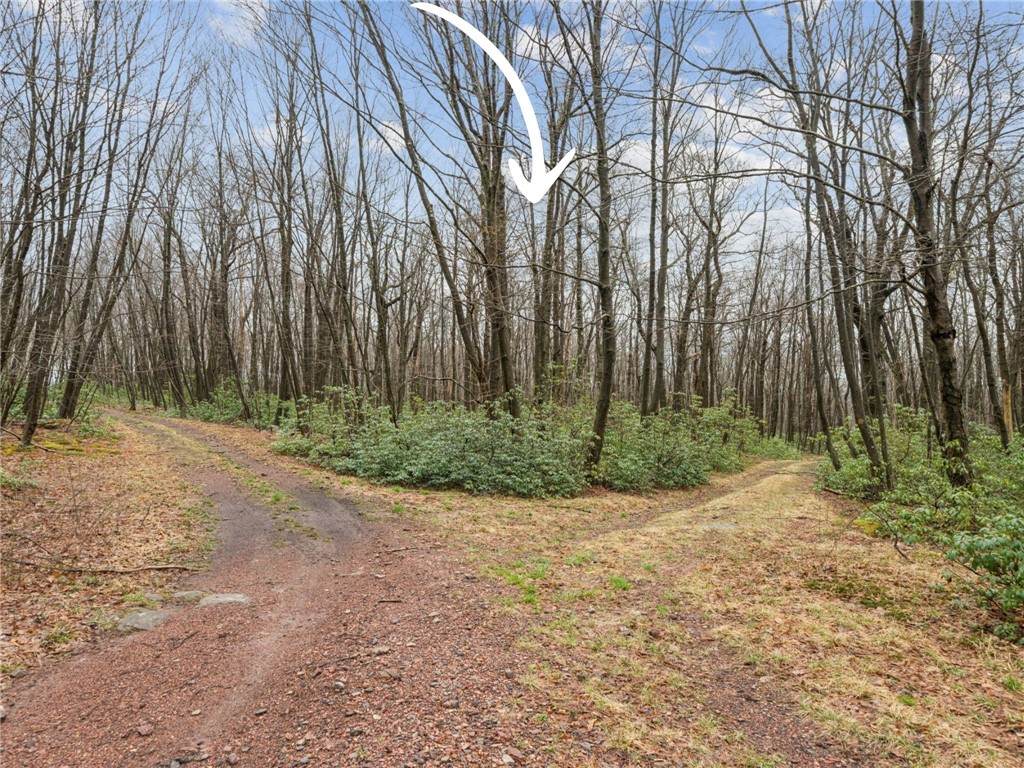 Lot 586 Zermatt Road - Photo 1