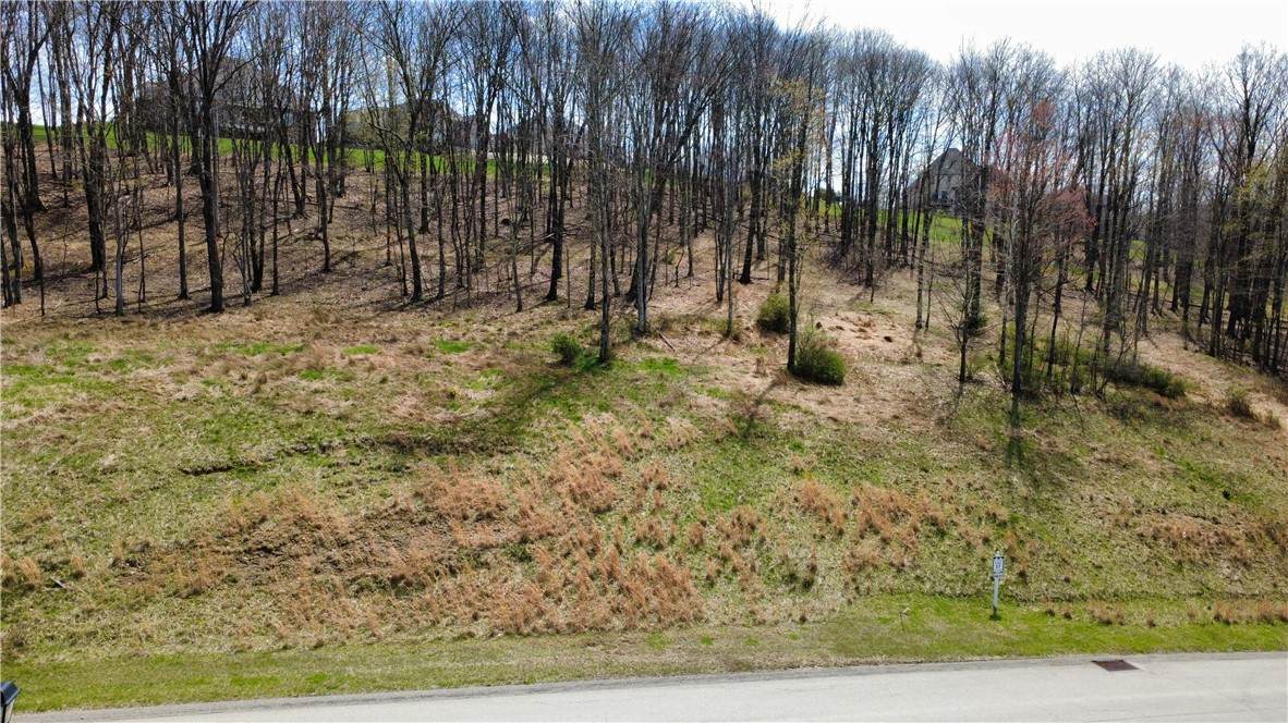 Lot 17 Ravenwood - Photo 1