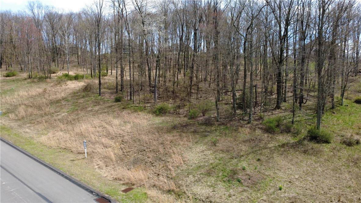 Lot 18 Ravenwood - Photo 1