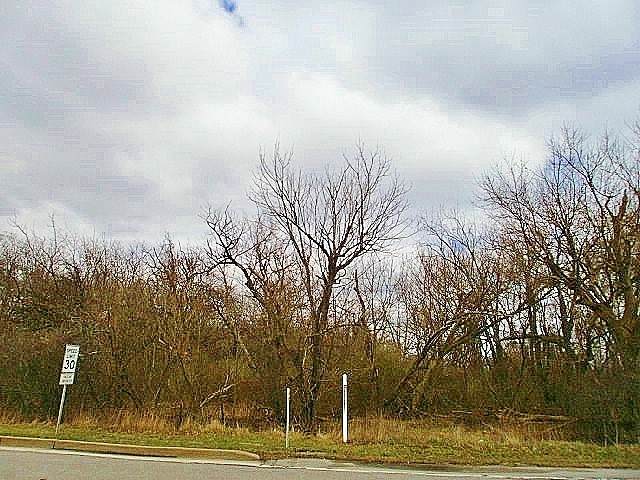 321 Mcmurray Rd - Photo 1