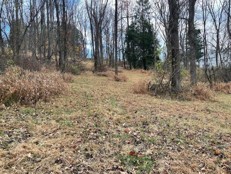 000 Hilton/Margurite Rd - Photo 1