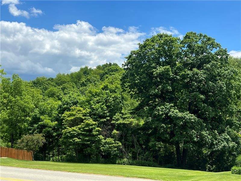 Lot Mars Hill Rd - Photo 1