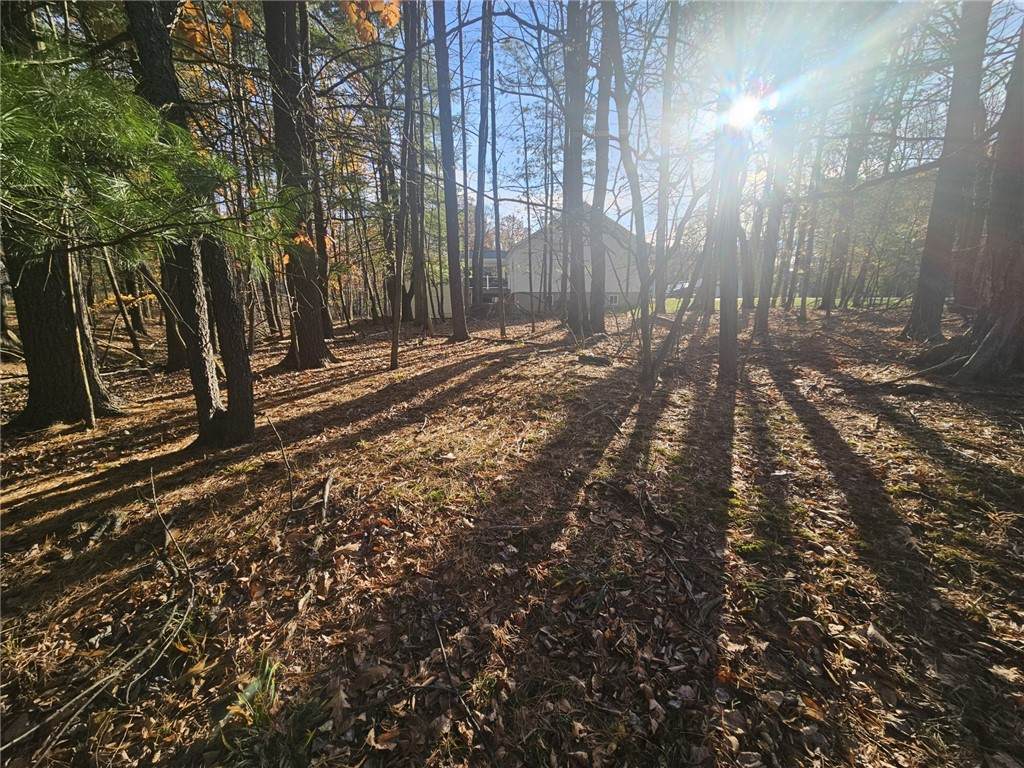 Lot 133 Section 1 Treasure Lake - Photo 1