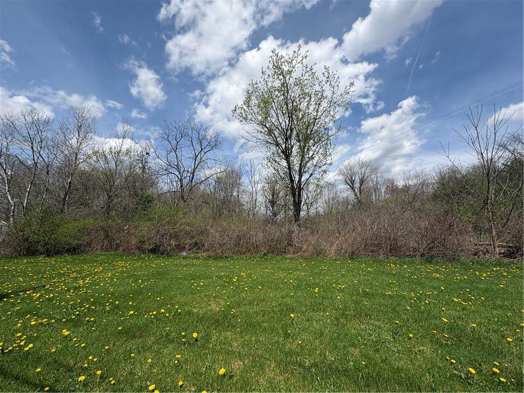 Lot#1 Boyers Rd - Photo 1