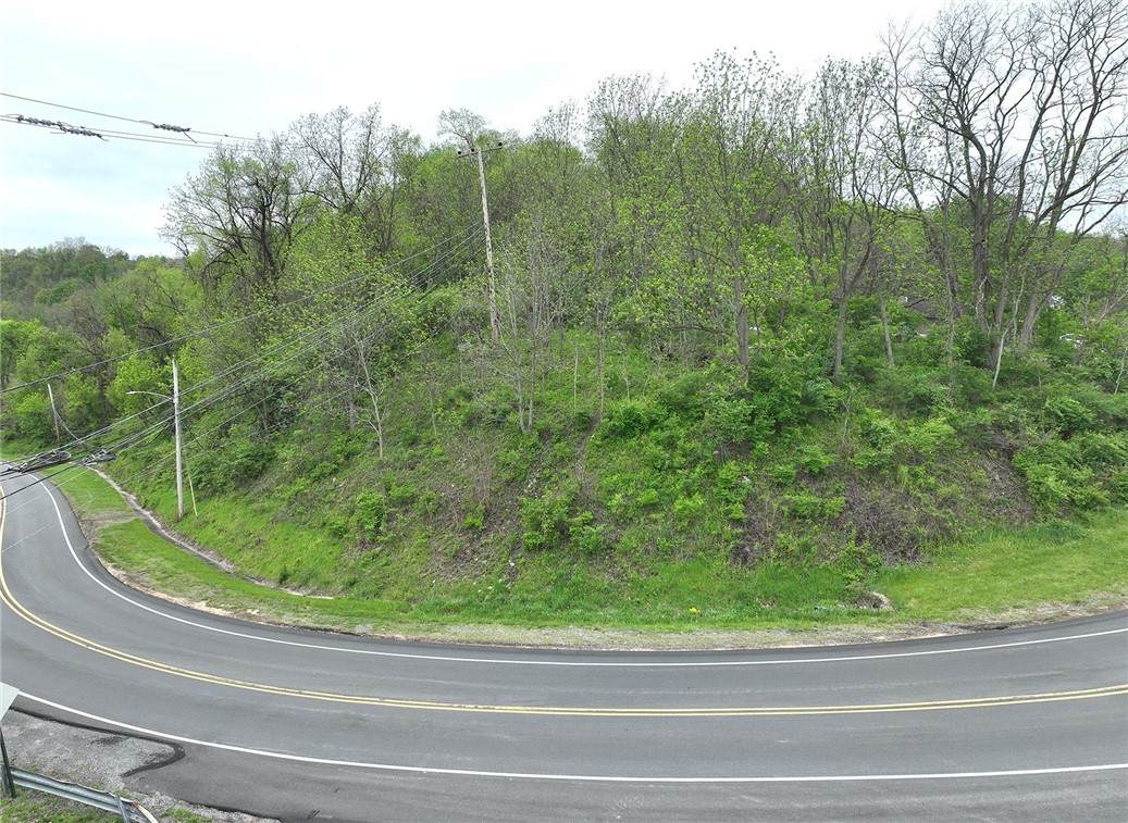 0 Hickory Grade Road - Photo 1