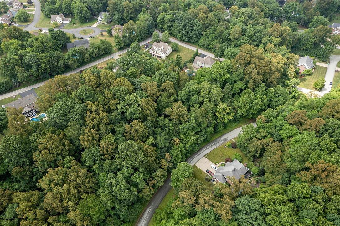 #16 LOT Timberland Dr - Photo 1