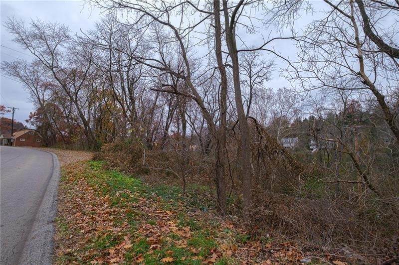 0 Springdale - Photo 1