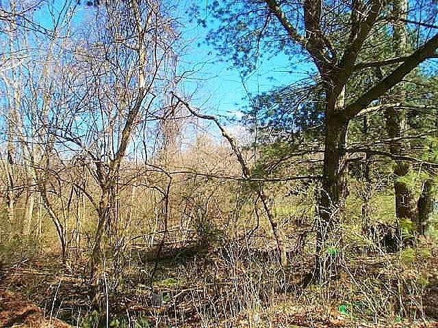0 Johnston Rd Ext. - Photo 1