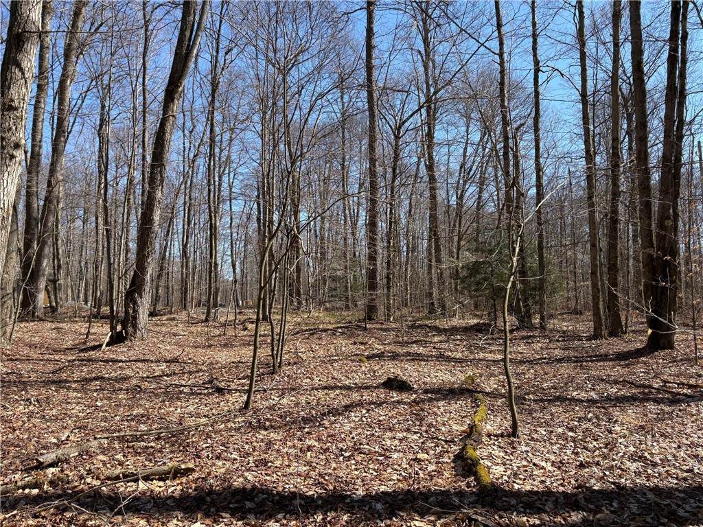 0 Sam Rd - Photo 1