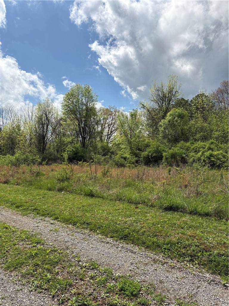 0 Pickens Rd - Photo 1