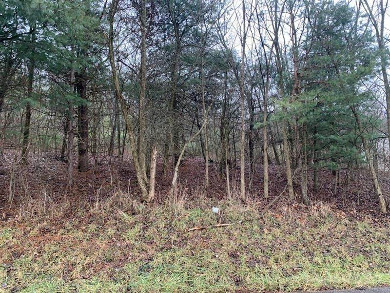 Lot 5 Ringertown Road - Photo 1
