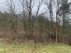 Lot 6 Ringertown Road - Photo 1