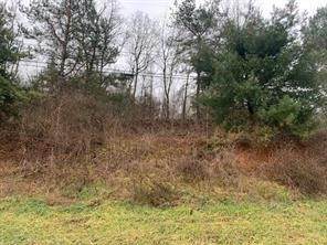 Lot 8 Ringertown Road - Photo 1