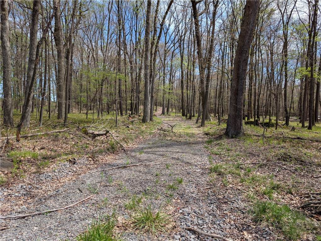435 Daubenspeck Rd - Photo 1