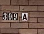309 College St - Photo 3