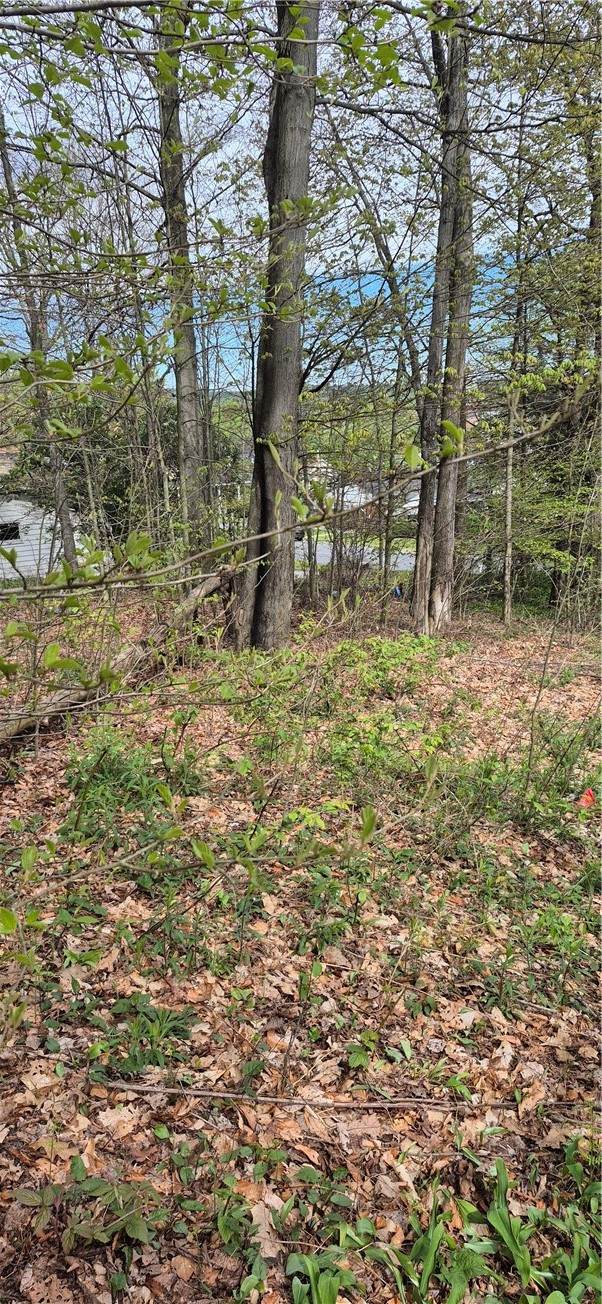 91 Lambert St - Photo 1