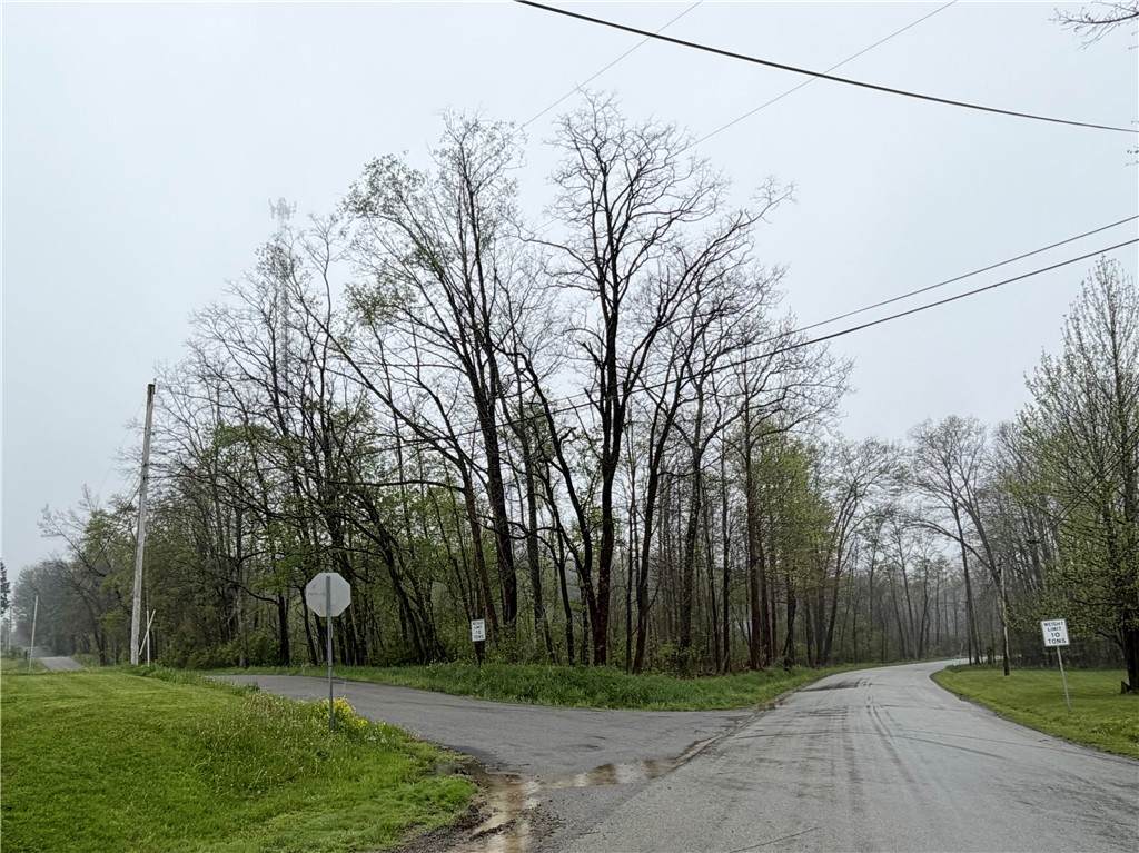 Lot 0 Glen School Rd - Photo 1