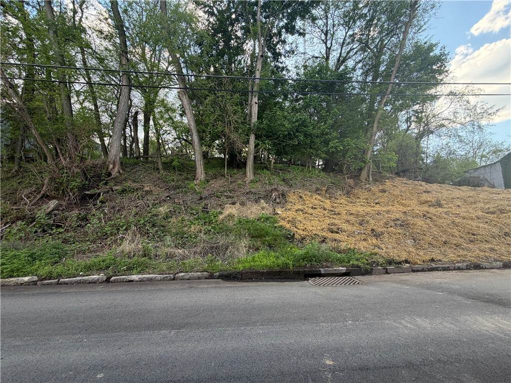 0 Warren St - Photo 1