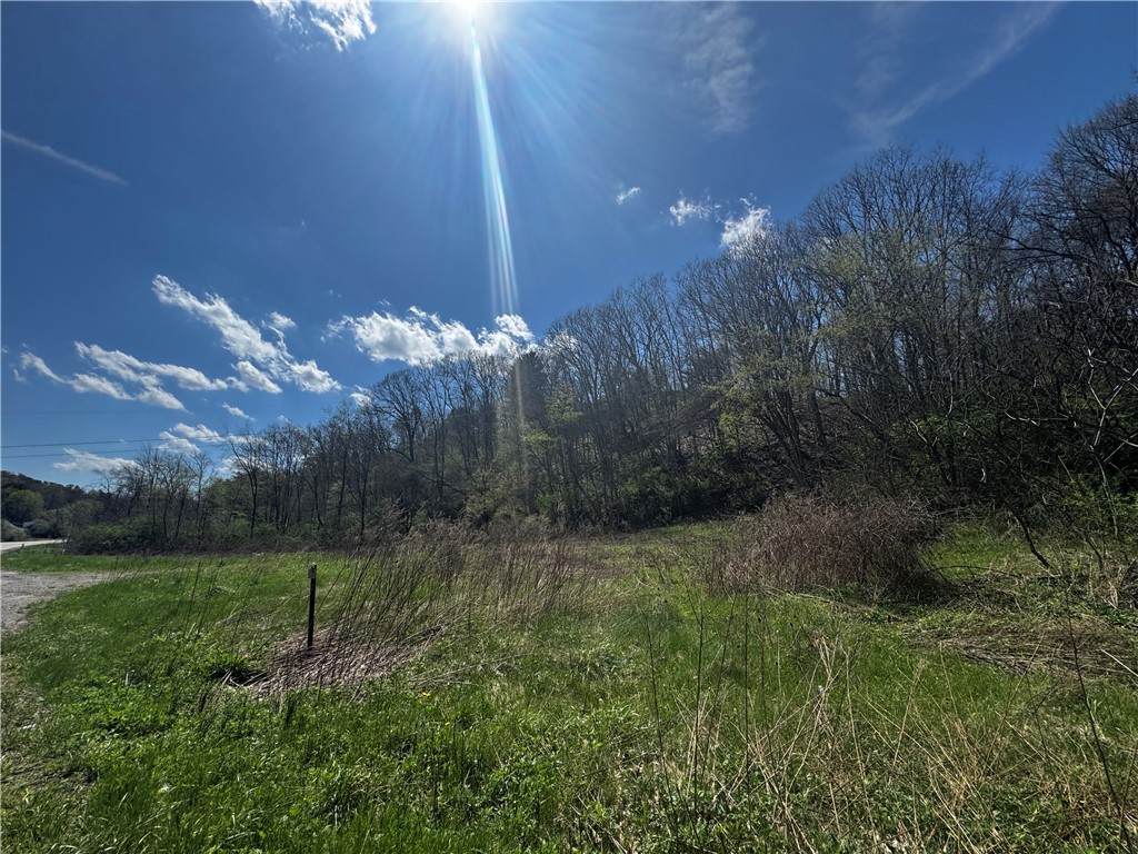 00 Warrendale Bayne Rd - Photo 1