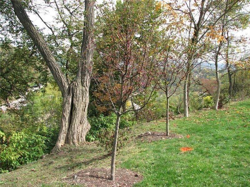 2643 Fernwald Road - Photo 1