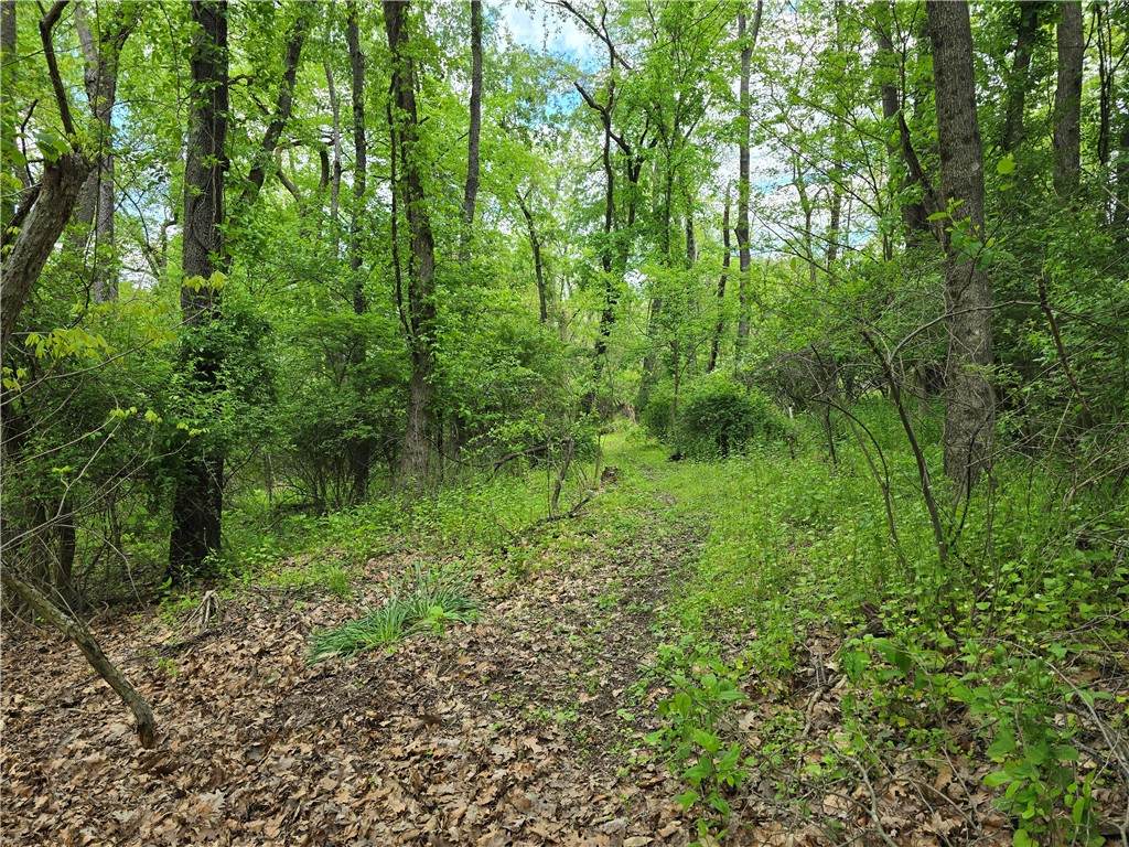 Lot 134 Brokers Lane - Photo 1