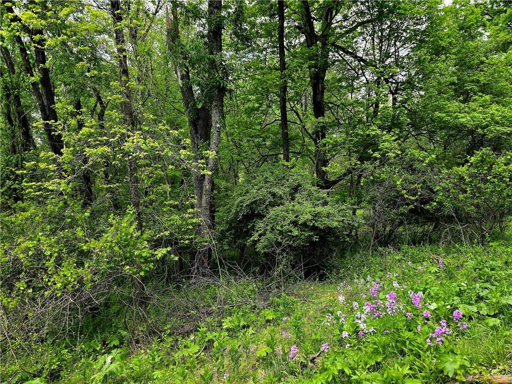 https://bt-photos.global.ssl.fastly.net/pittsburgh/orig_boomver_1_1754850-2.jpg