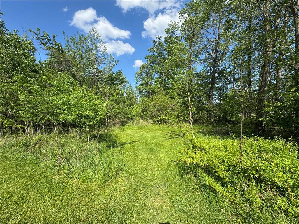 Lot#2 Mcclain Rd - Photo 1