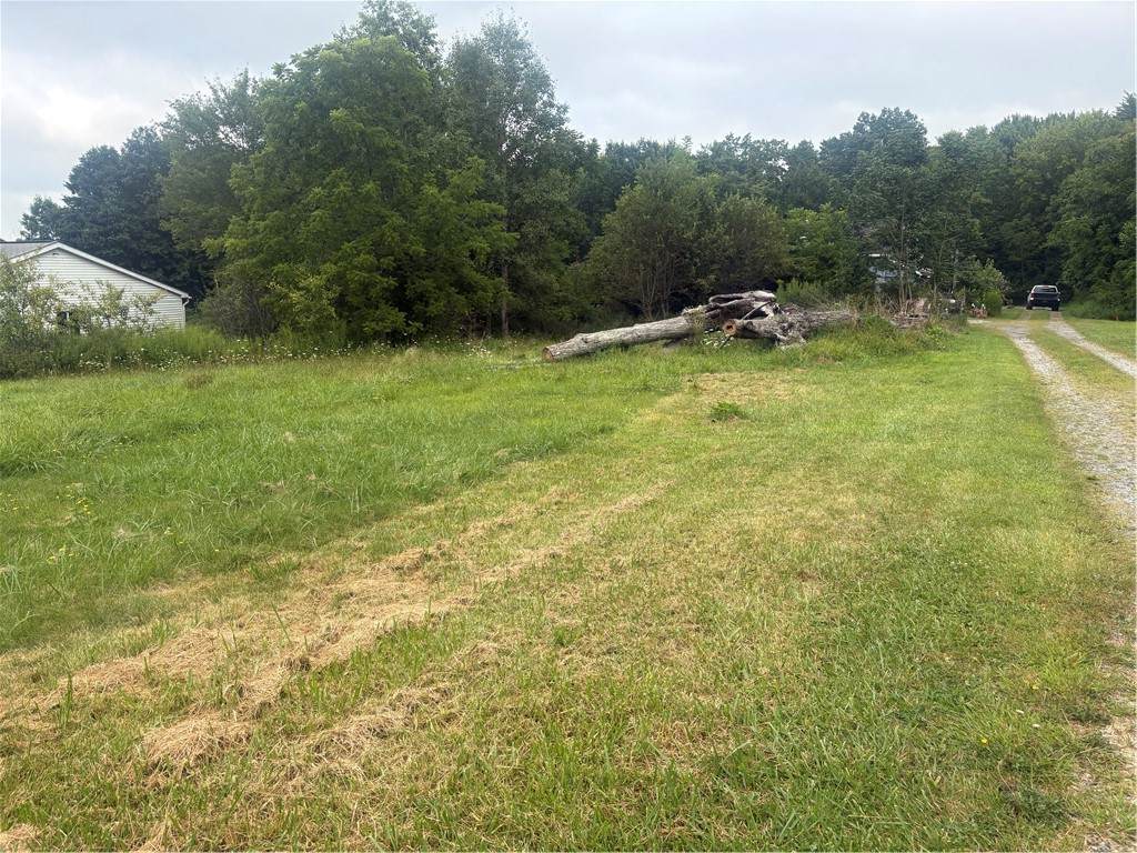 Lot #1 Barkeyville Rd - Photo 1