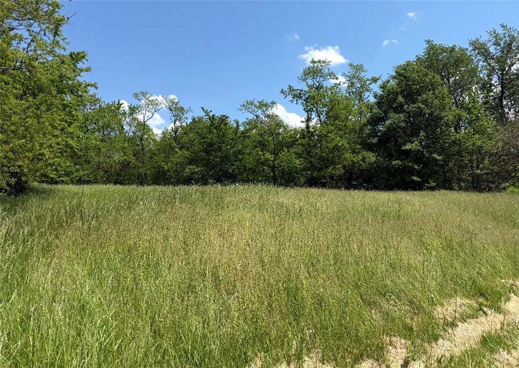26101 Percy Ln - Photo 1