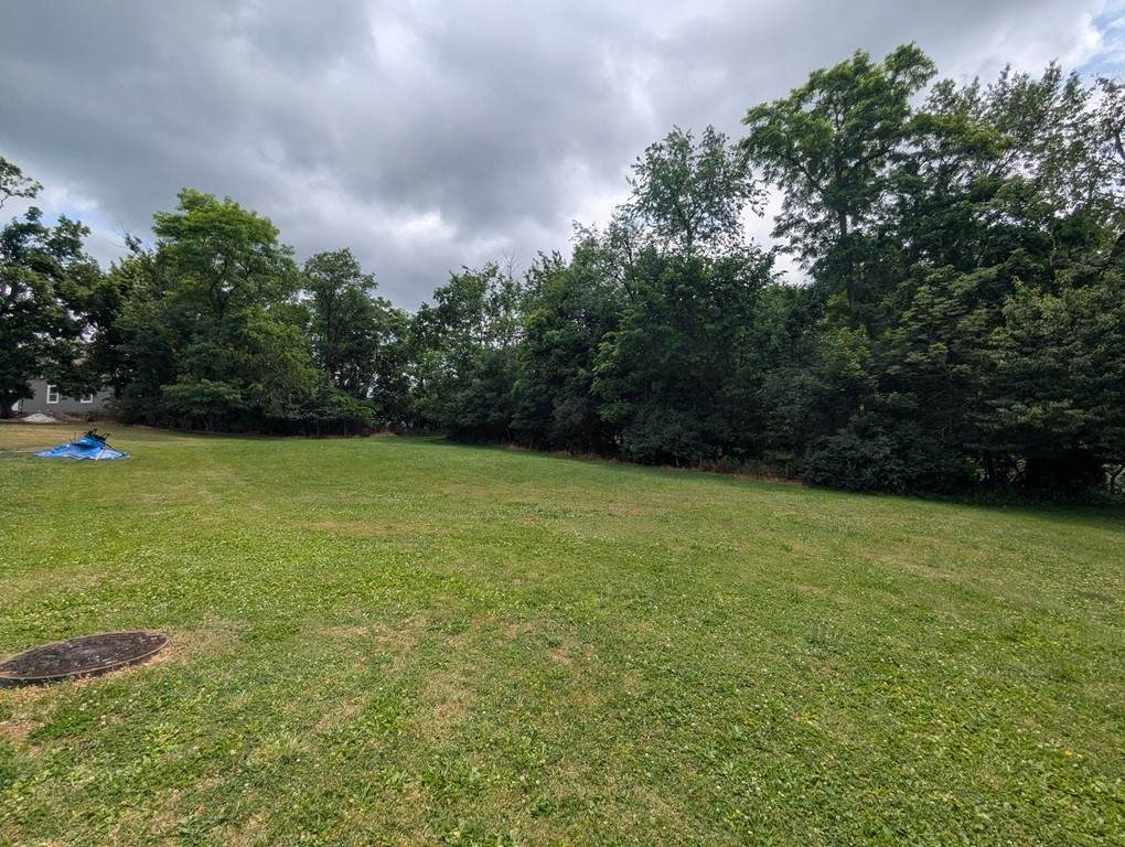 Lot 1 Center St - Photo 1