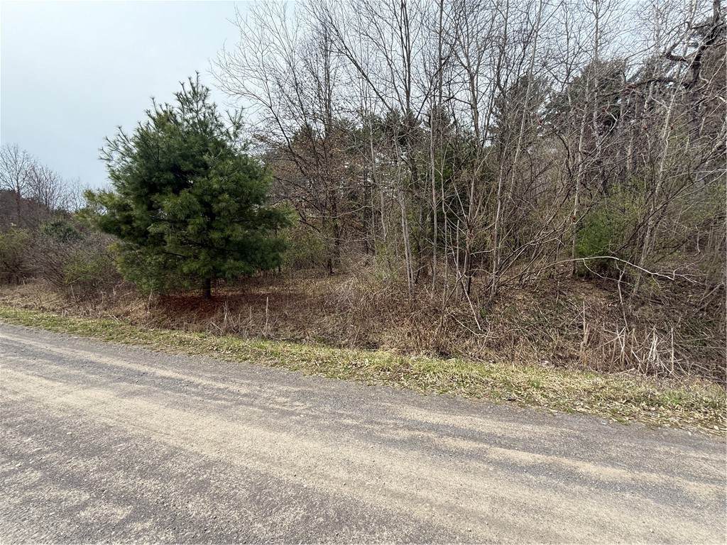 0 Walker Farm Rd - Photo 1