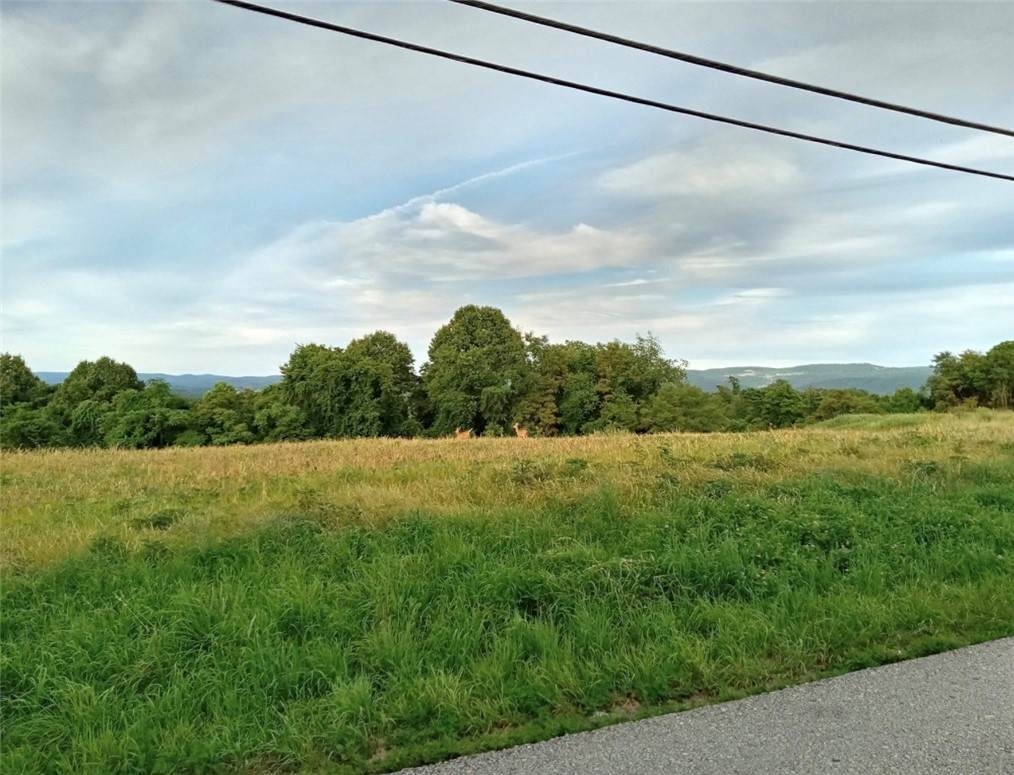 986 Old Pittsburgh Rd - Photo 1