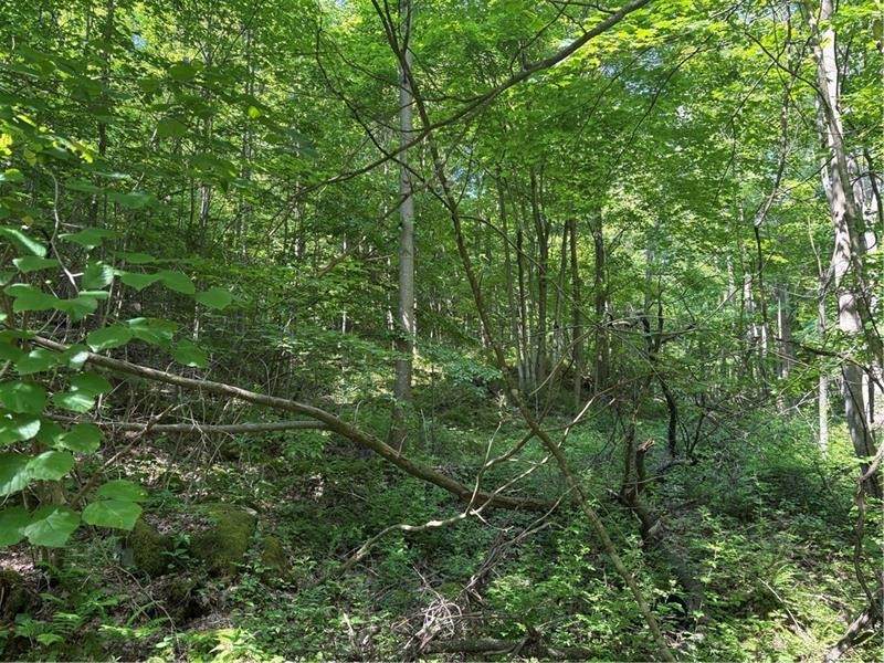 000 Fowl Hill Rd - Photo 1