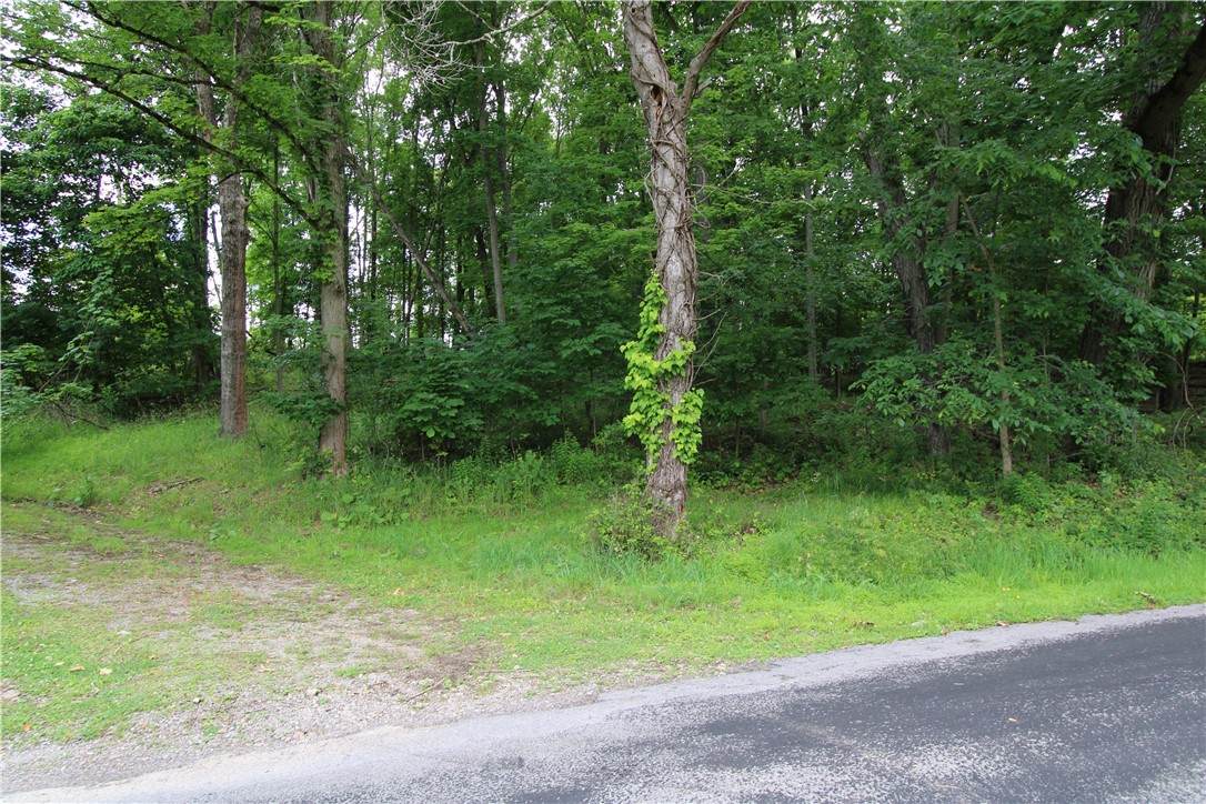 0 Campground Rd - Photo 1