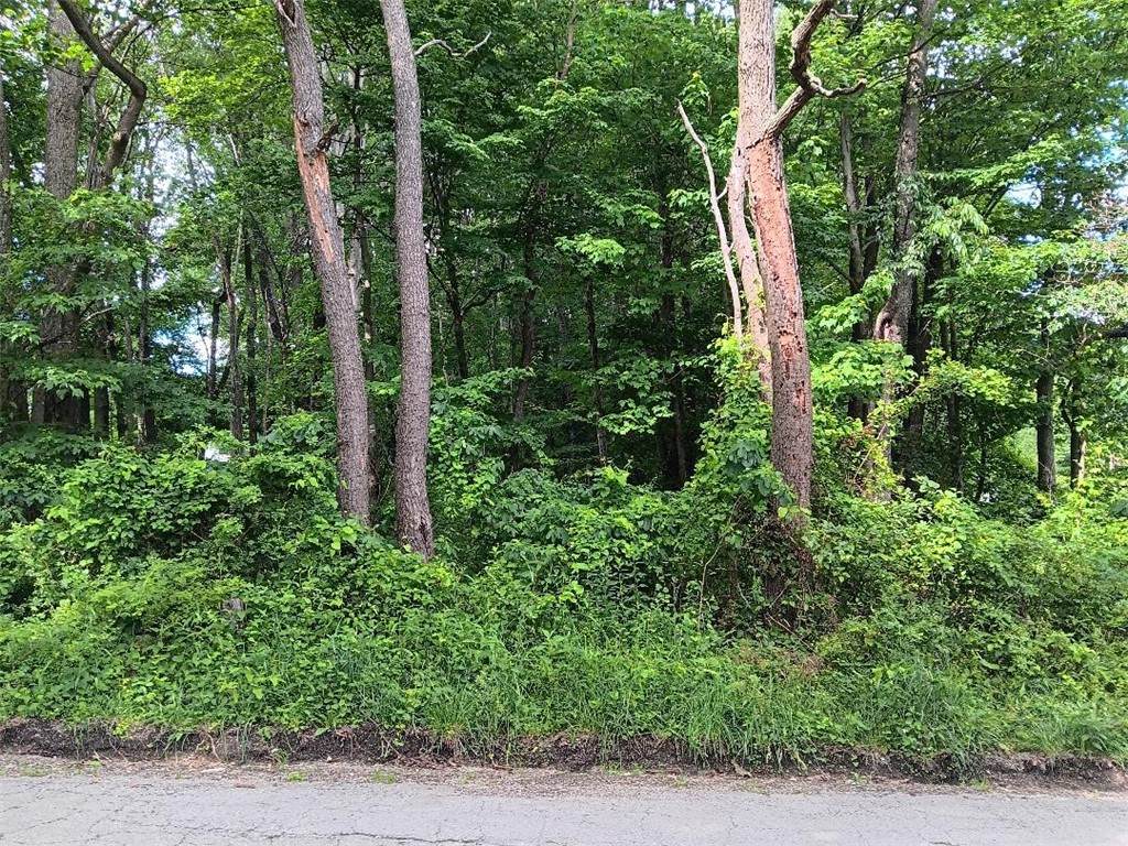 0 Pletcher Rd - Photo 1